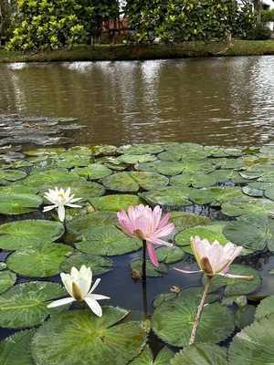Restaurante Coração Da Mooca