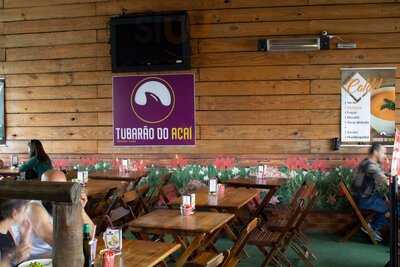 Tubarão Do Açaí