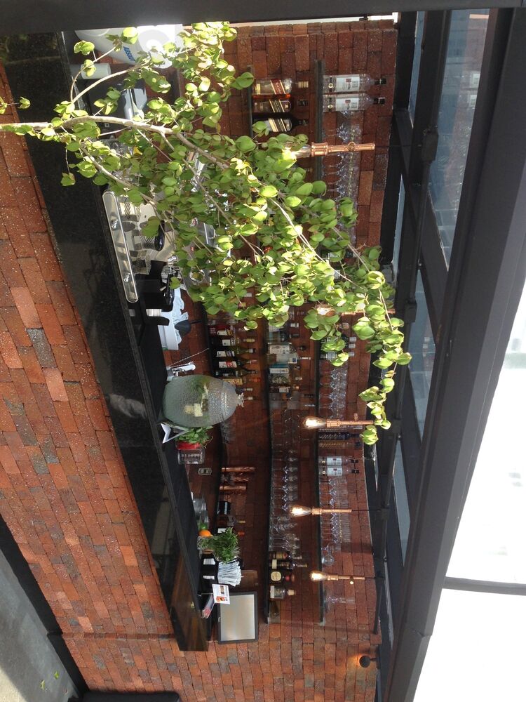 Upper - Bbq & Roof & Drinks