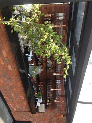 Upper - Bbq & Roof & Drinks