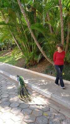 Friends Americos Bar