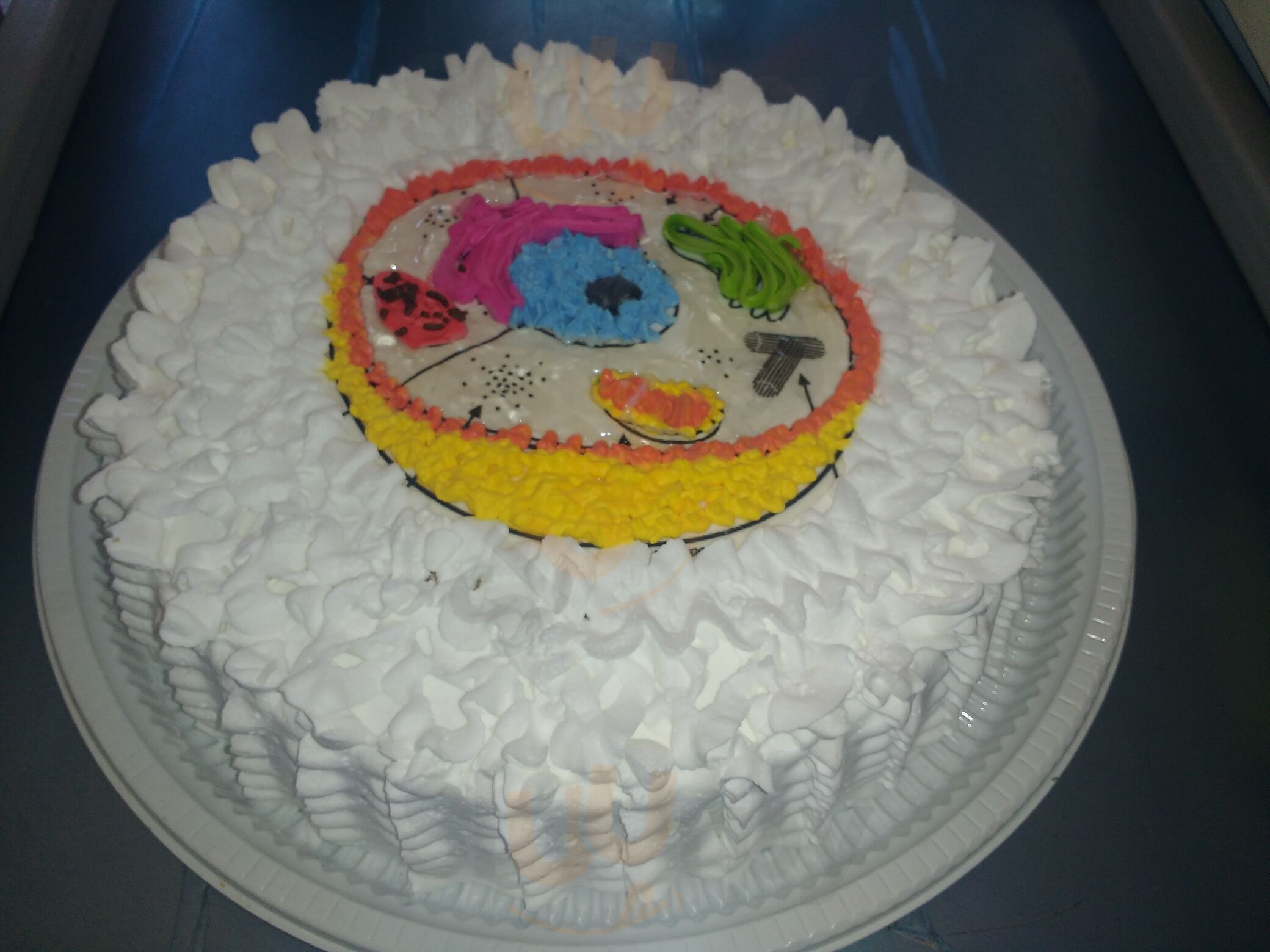 Doce Vida Padaria E Confeitaria