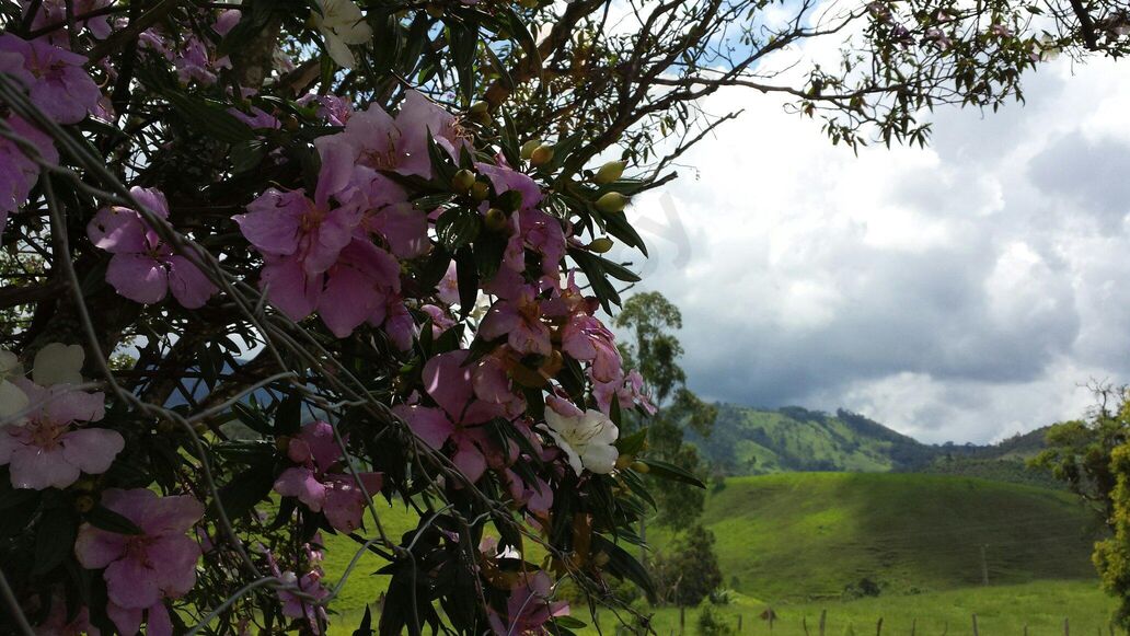 Estalagem Usina Velha