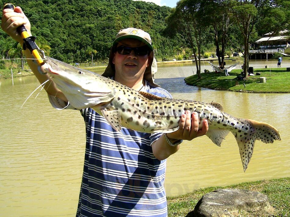 Valle Verde Pesca E Lazer