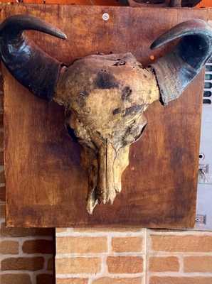 Casa Do Norte Do Marcao