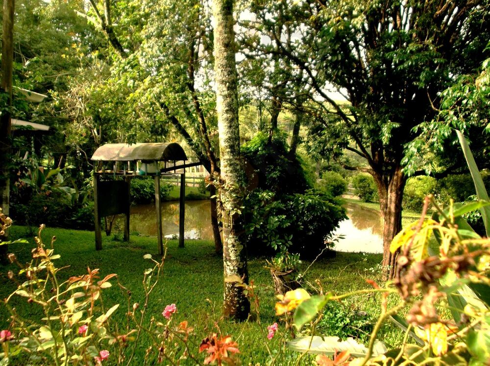 Restaurante Dona Florita