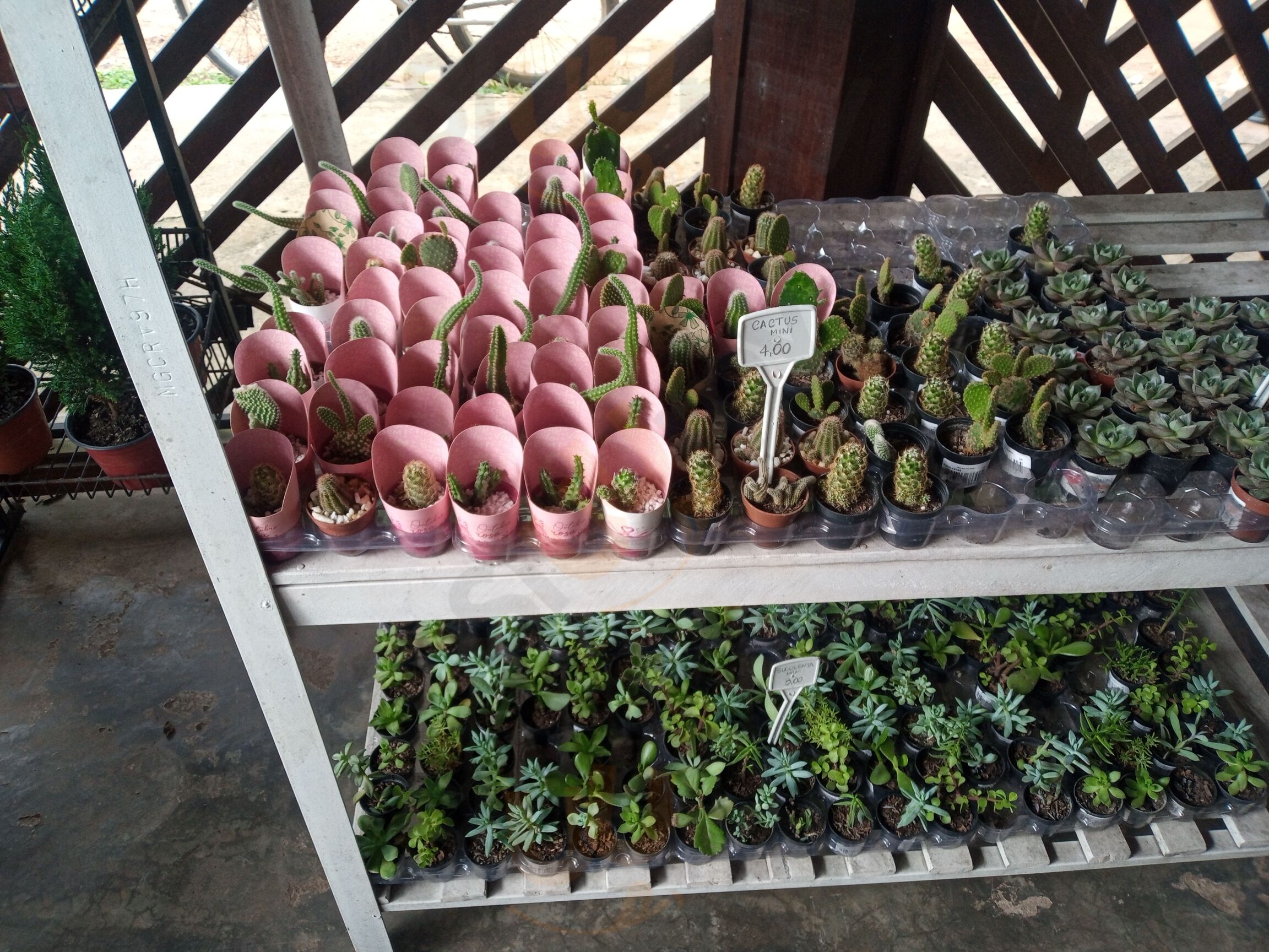 Amazonflora