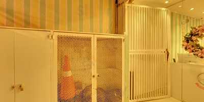 Pandolfi Restaurante