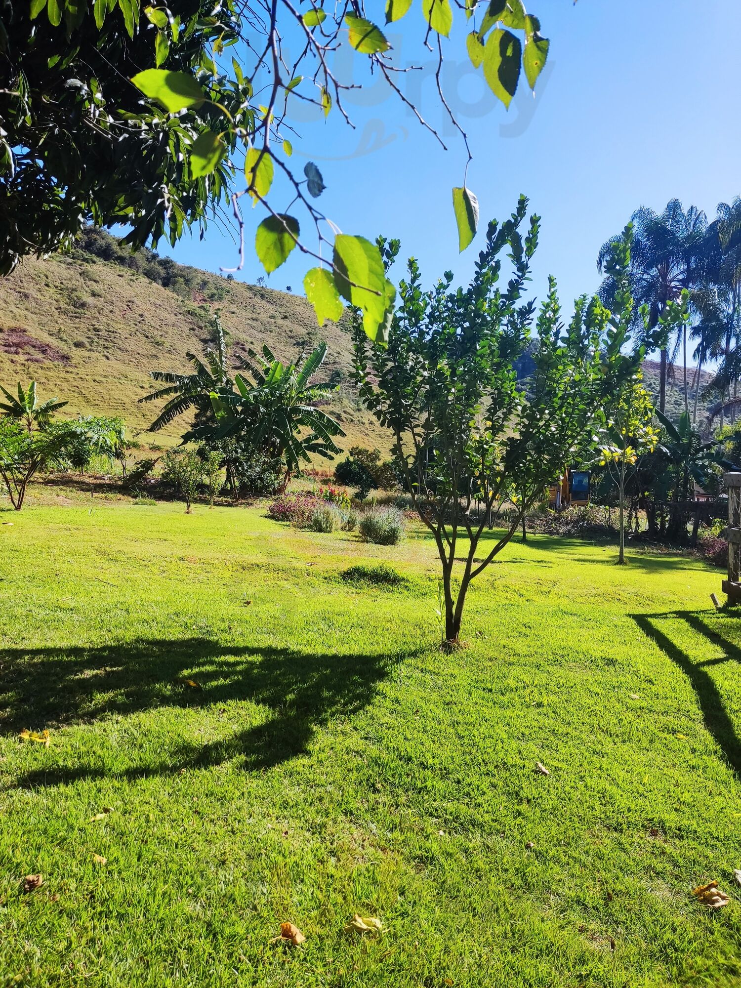 Cantinho Da Roca