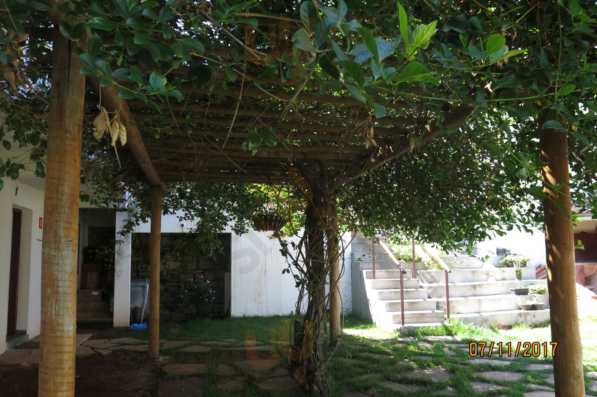 Frutos De Goias