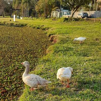 Restaurante Do Parque Pinhal