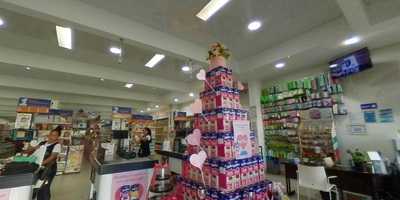 Photo 3