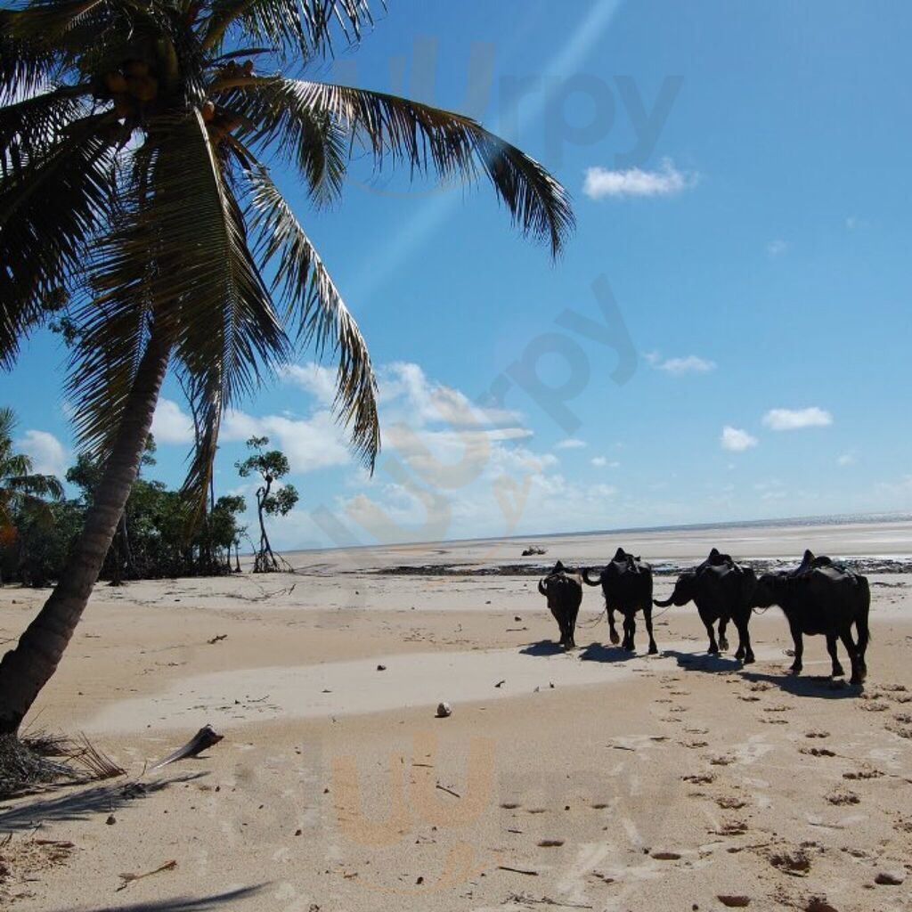 Cabana Tropicaliente