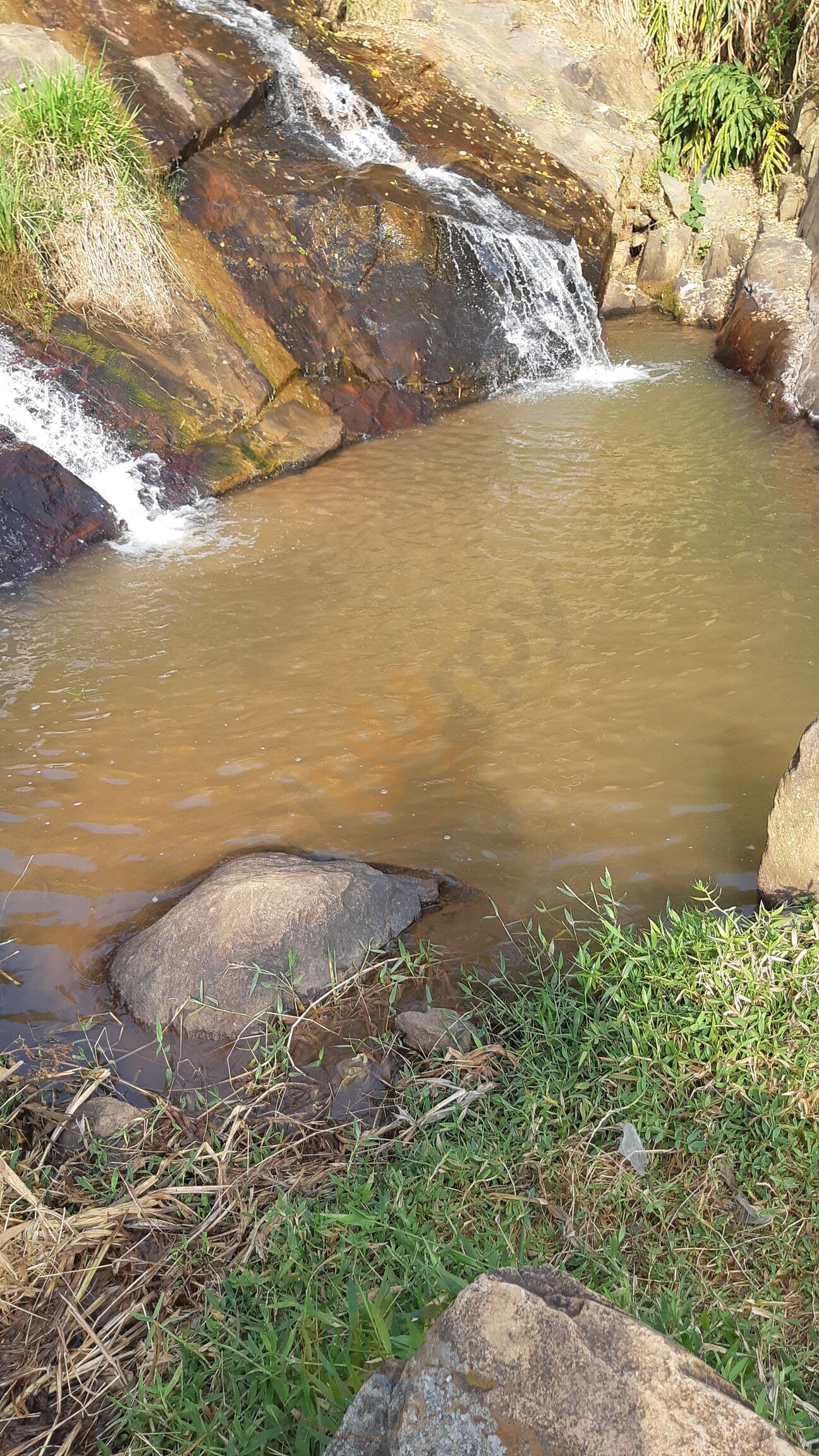 Bar Cachoeira