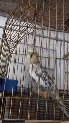 Photo 4