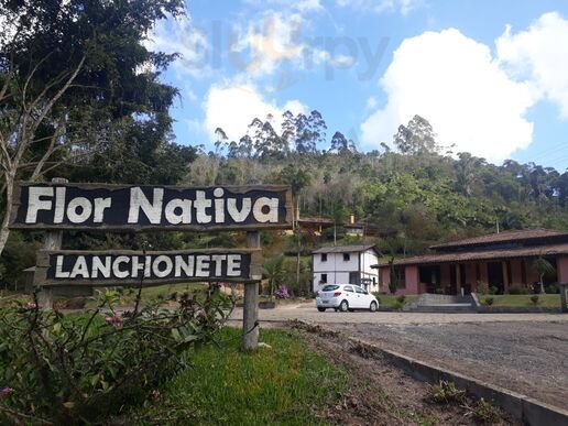 Flor Nativa