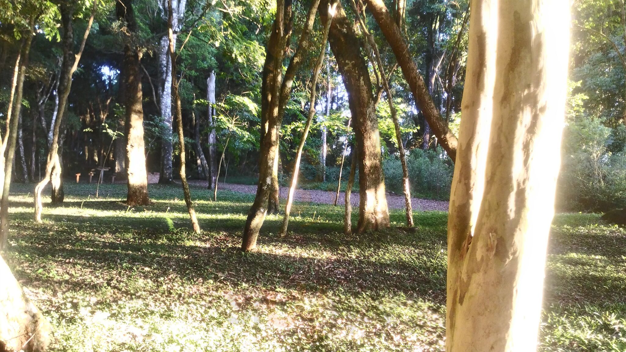 Capao De Mato