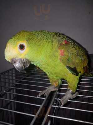 Bar E Restaurante Big House