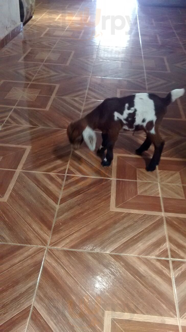 Cremozinho Bom Sabor