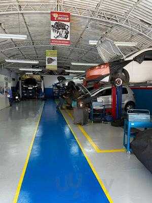 Pit Bul Auto Mecanica