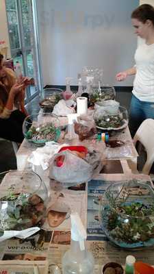 Pastel Do Trevo De Bertioga - Santana