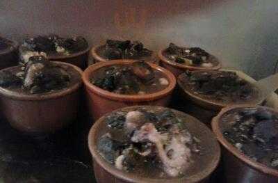 Bar & Empório Terci