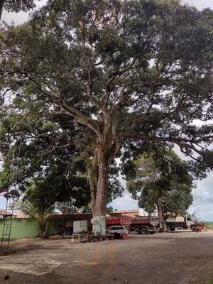 Bar E Restaurante Point Do Acaraje