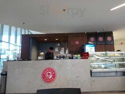 Premier Coffee And Lunch