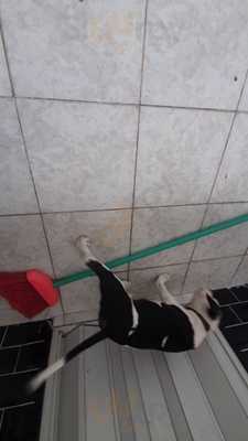 Casa Rosa Comida Caseira