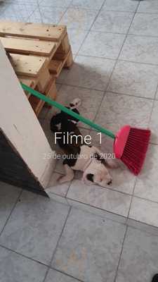 Casa Rosa Comida Caseira