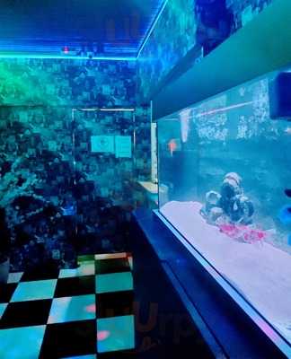 Caribe Bar Drink's Show Music