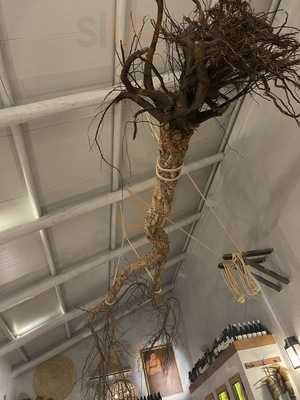 Bar E Petiscos Gomes