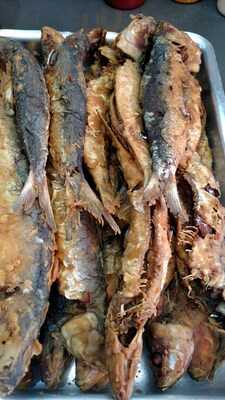 Bar & Lanches Faisca