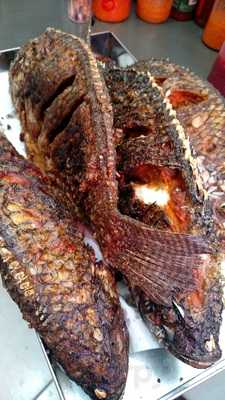 Bar & Lanches Faisca