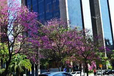 Restaurante E Lanchonete Trem Bom
