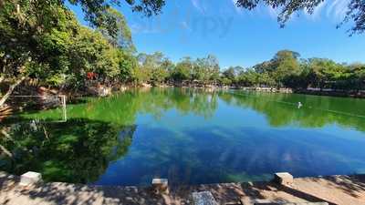 Lanchonete Esportivo