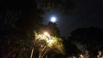 Lanchonete E Bombonieri Maria De Fatima