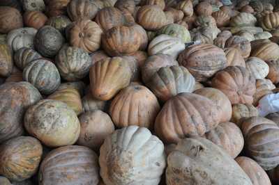 Bar E Restaurante Do Patio Do Pari