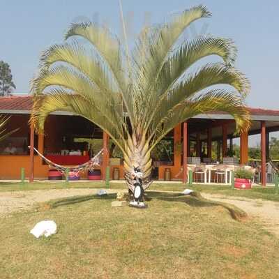 Pesque Pague Pantanal