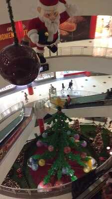 O Bem Bolado Do Tuiuti