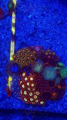 Recanto Do Campo Grande