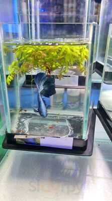 Recanto Do Campo Grande