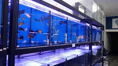 Recanto Do Campo Grande