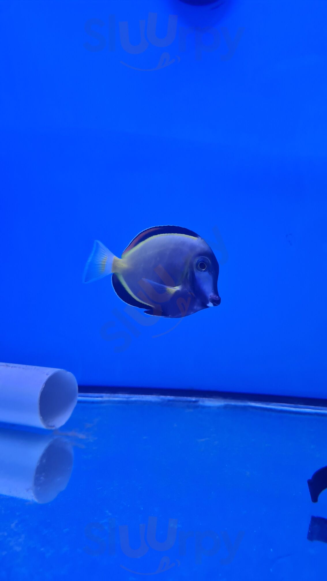 Recanto Do Campo Grande