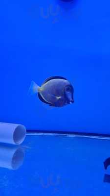 Recanto Do Campo Grande