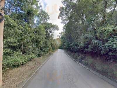 La Bodeguita Pizzaria