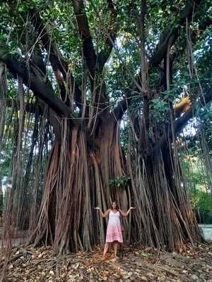 Casa Do Coco Piqueri