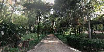 Casa Do Coco Piqueri