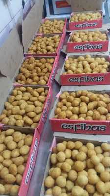 Cantinho Dos Salgados Potiguar