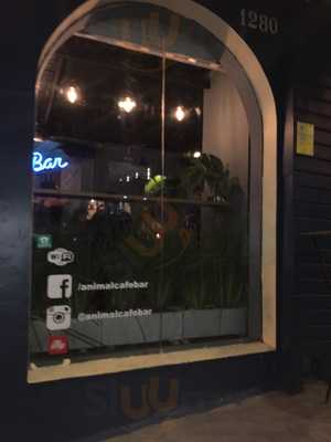 Animal Cafe Bar